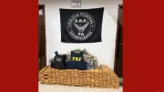 PF apreende 383 kg de 'supermaconha' no Pará e prende duas pessoas