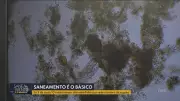 SC: Série NSC Notícias revela desafios do saneamento em 2025