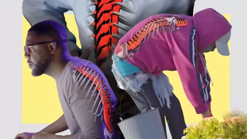 5 indicadores para evitar e tratar dores nas costas, que afetarão 10% do mundo