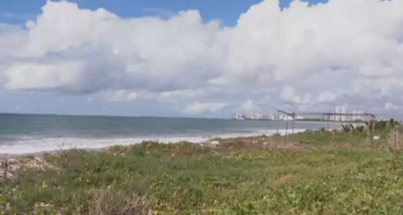 Adolescente de 12 anos é atacado por tubarão em praia de Olinda