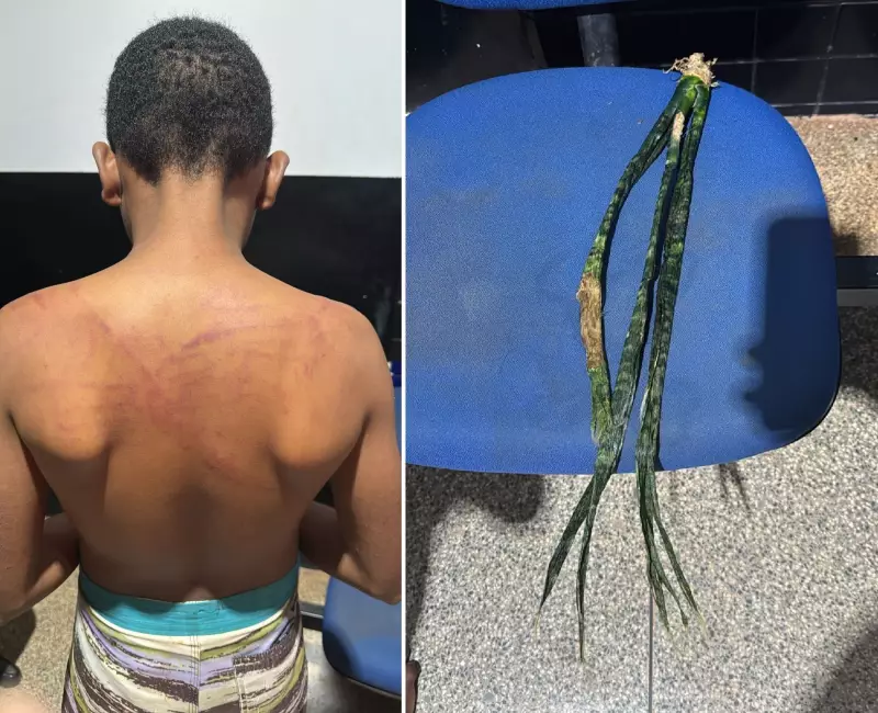 Adolescente de 13 anos é espancado com espada em Dom Eliseu; cunhado preso