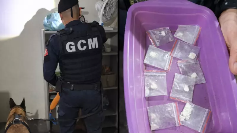 Adolescentes são apreendidas por tráfico de drogas em casa de prostituição em São José do Rio Preto