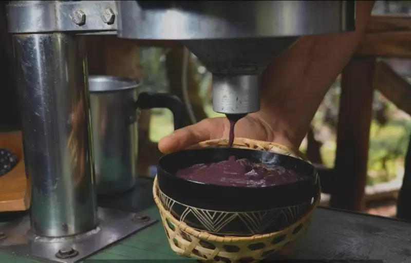 Ananindeua oferece curso para batedores de açaí e enfrenta surto de doença de Chagas