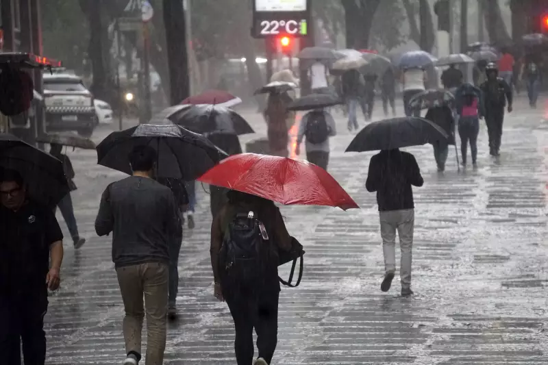 Aniversário de SP terá sol entre nuvens e chuva à tarde; veja previsão