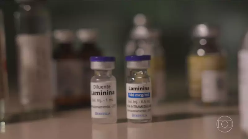 Anvisa libera testes de remédio 100% brasileiro para lesão medular