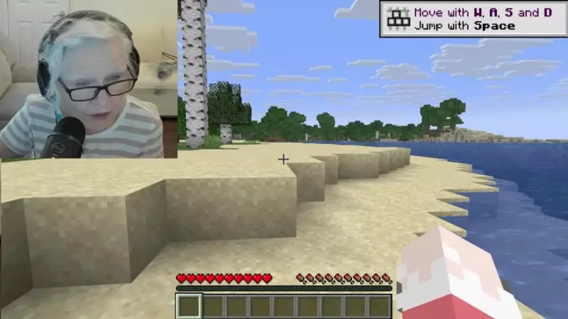 Aos 81 anos, avó cria canal de Minecraft e arrecada R$ 210 mil para neto com câncer