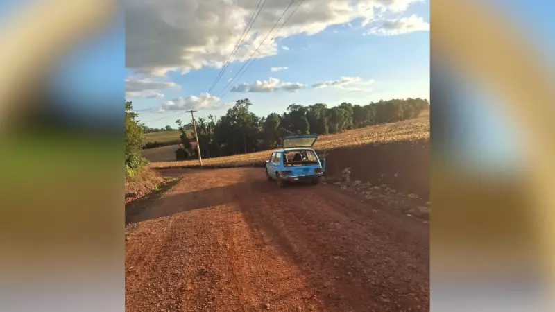 Ataque de abelhas fere 3 no RS: uma vítima na UTI após incidente em carro