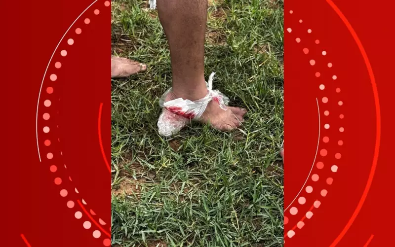 Ataque de Piranhas em Iaçu: Cinco Feridos no Rio Paraguaçu e Interdição do Local