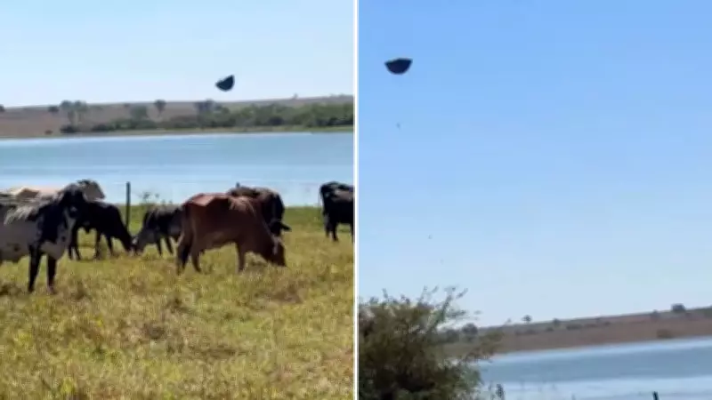 Barraca 'voa' em acampamento de igreja em Auriflama e vídeo viraliza com 11 milhões de views