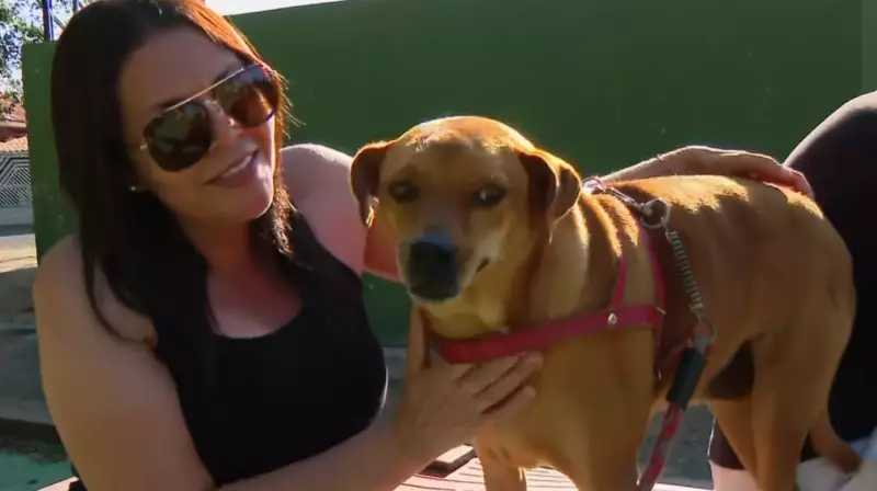 Boa Esperança do Sul inaugura 1º parque para cães da região