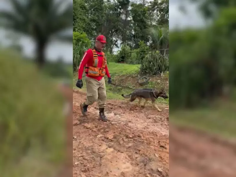 Bombeiros buscam aposentado de 87 anos desaparecido em Rio Branco com cães farejadores