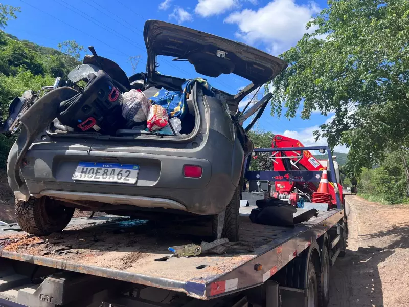 BR-381: 3 mortos em acidente, ataque de piranha e resgate de macaco em MG