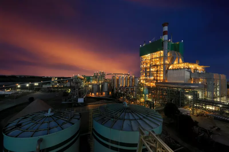 Bracell Oferece Seis Vagas de Emprego no Setor Florestal na Bahia