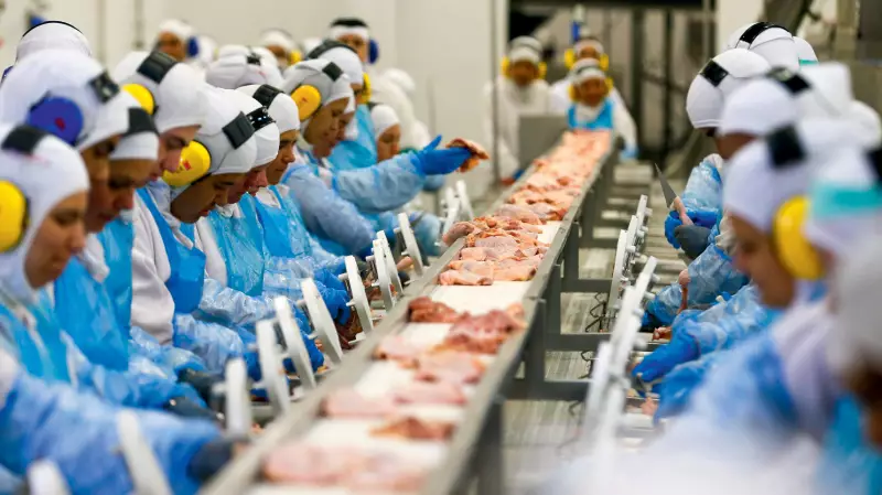 Brasil bate recorde de exportação de carne bovina em 2025, mesmo com tarifaço dos EUA