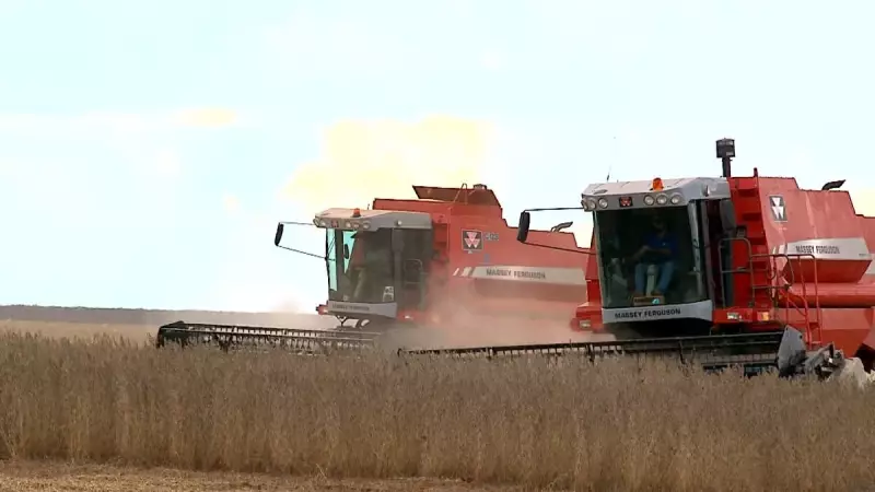 Brasil projeta recorde histórico no esmagamento de soja para 2026, com alta de 0,8%
