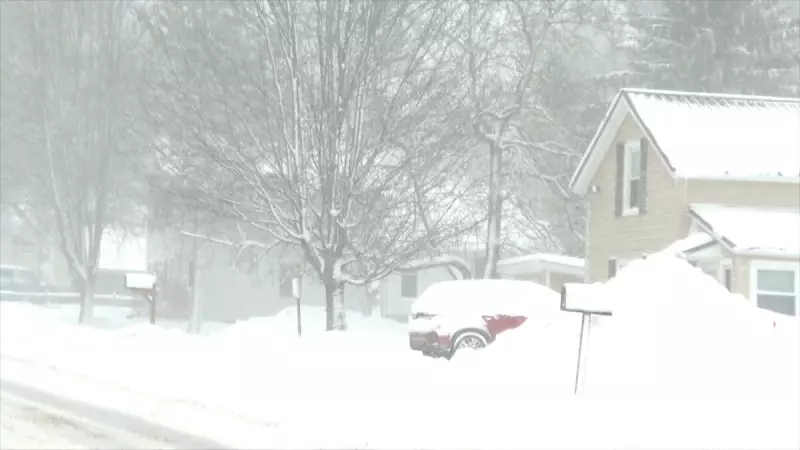 Brasileira relata medo durante tempestade de inverno nos EUA: 'Sem luz, não há aquecimento'