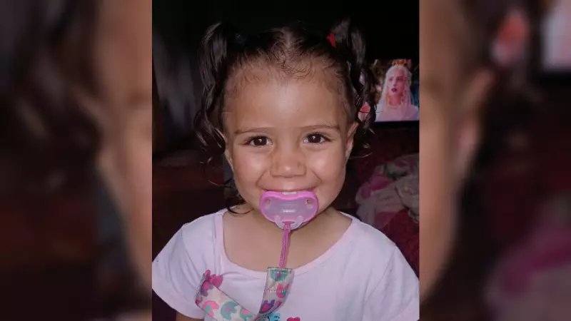 Bugio que atacou crianças em Guapiara segue no bairro, mas sem novos incidentes