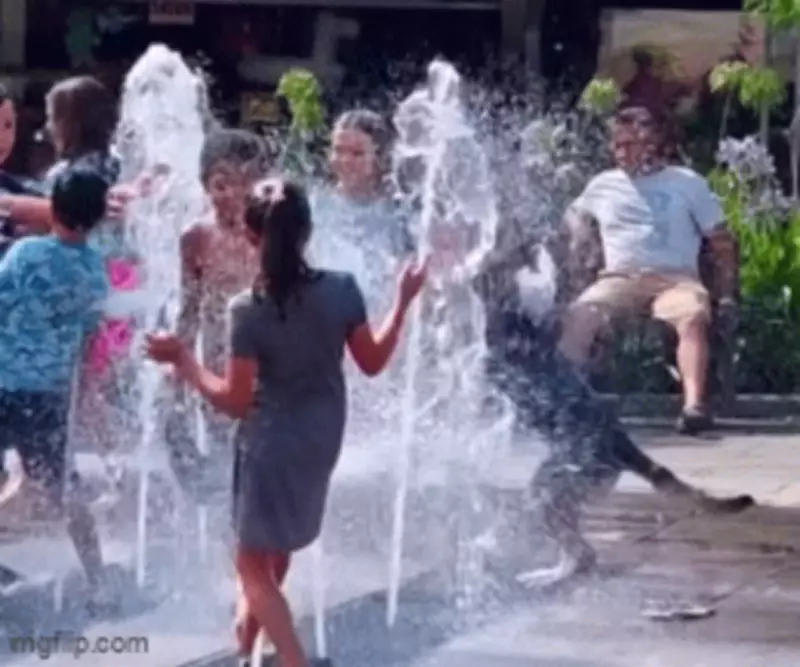 Cachorro brinca em fonte com crianças e vídeo emociona após caso Orelha em SC