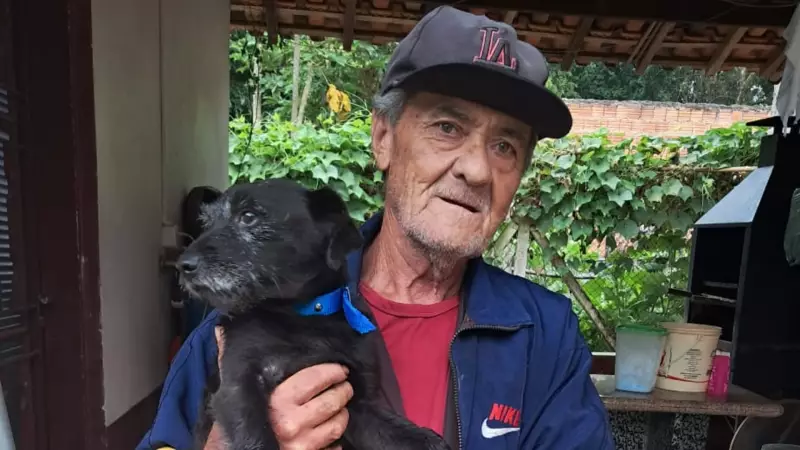 Cachorro fiel fica 32 horas com idoso perdido na mata e ajuda no resgate em Nova Campina
