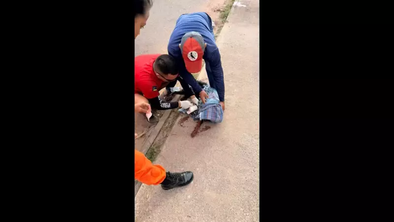 Cachorro tem pata decepada a facão em Macapá e luta pela vida