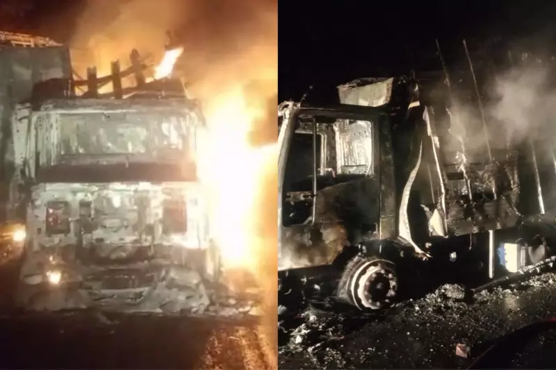 Caminhão é destruído por incêndio na BR-343 no Piauí; motorista de 42 anos sai ileso