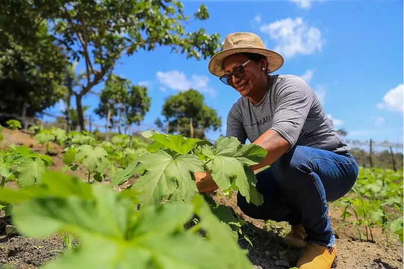 Capacitação Técnica Fortalece Agricultores Familiares na Região Metropolitana de Manaus