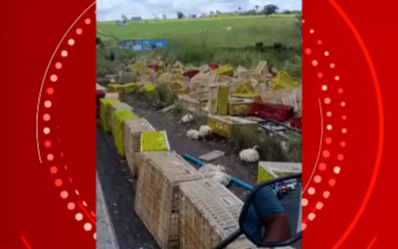 Carreta com frangos vivos tomba na BR-101 em Santo Antônio de Jesus; motorista morre