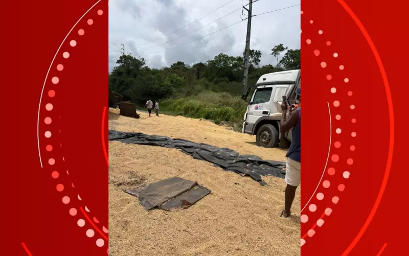 Carreta com soja tomba e causa congestionamento na BR-324 na Bahia