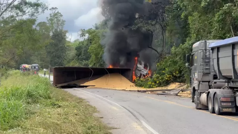 Carreta com soja tomba e interdita BR-262 em Domingos Martins (ES)