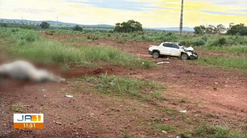 Carro colide com boi na BR-242 e mata dois homens no Tocantins