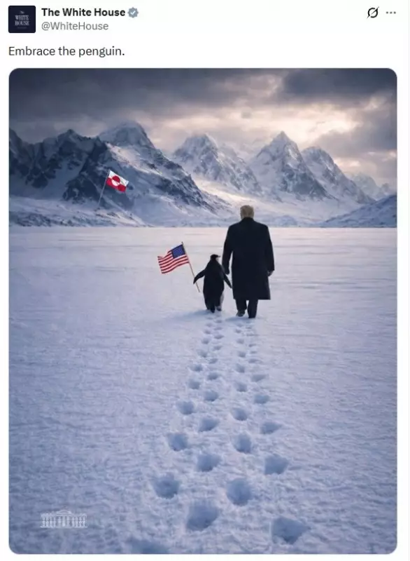 Casa Branca publica montagem de Trump com pinguim na Groenlândia e vira alvo de chacota