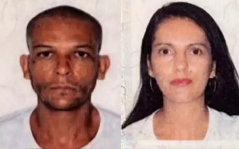 Casal morre e filho fica ferido em grave acidente na BR-101, em Itamaraju, Bahia