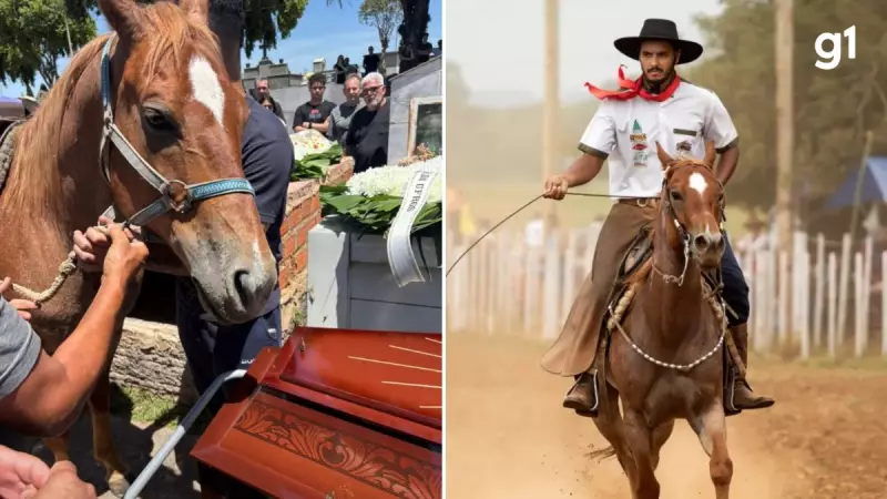 Cavalo se despede de jovem morto em acidente de moto: cena emociona no RS