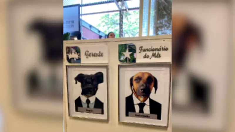 Cães comunitários viram 'gerente' e 'funcionário do mês' em floricultura de Rio Preto