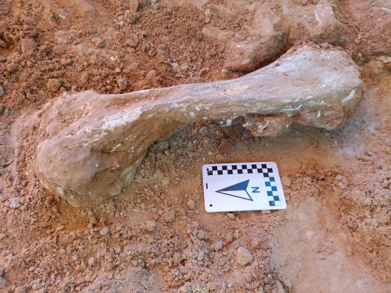 Chapada dos Guimarães: fósseis revelam mar e dinossauros há milhões de anos