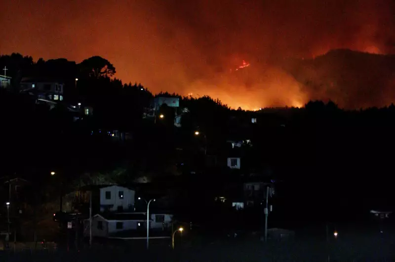 Chile decreta estado de catástrofe: incêndios florestais forçam 20 mil a evacuarem