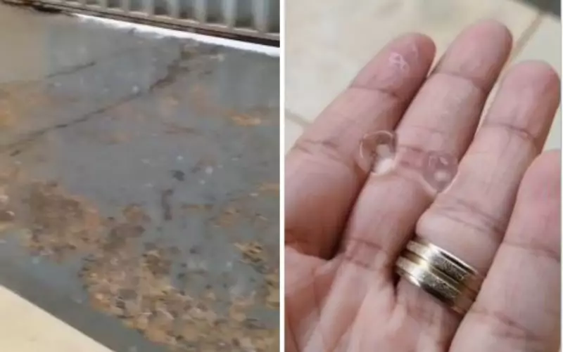 Chuva de granizo atinge Goiânia: 39 mm de chuva e árvore cai sobre carro