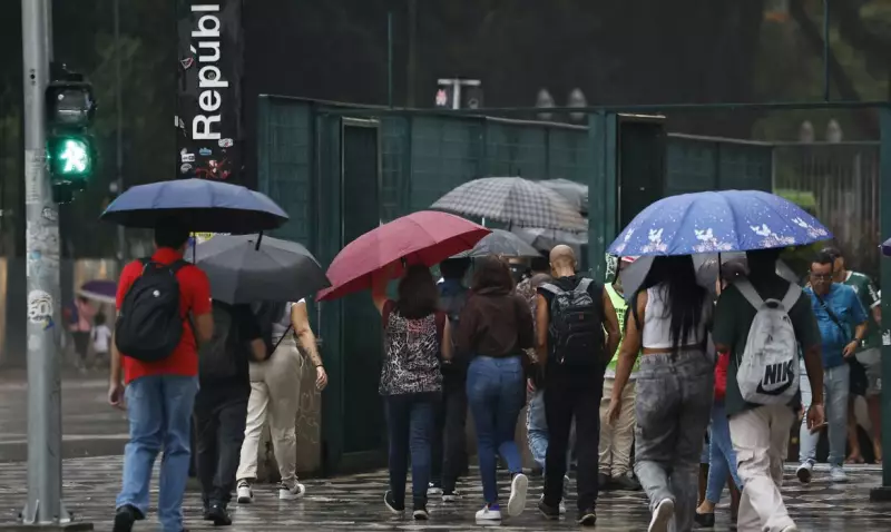 Chuva em São Paulo causa 13ª morte: idoso de 75 anos é arrastado por enchente na Vila Guilherme