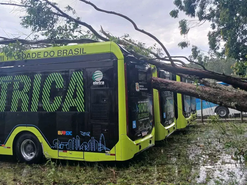 Chuva forte derruba árvores sobre ônibus e causa alagamentos em São José dos Campos