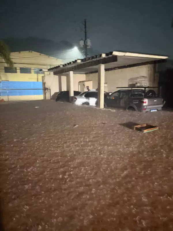 Chuva intensa alaga cidades da Grande SP: carros submersos e casas inundadas