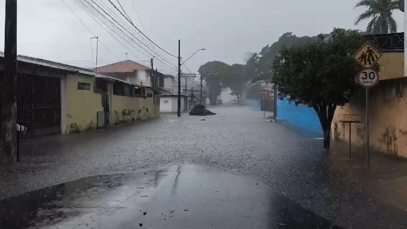 Chuva intensa causa alagamentos e queda de árvores em São José dos Campos