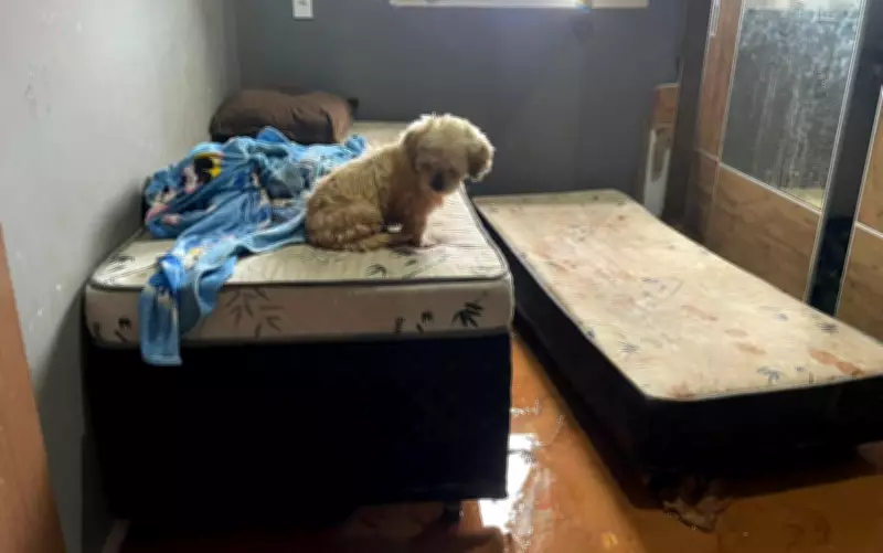 Chuva intensa derruba muro de casa em Areado, MG, após rede de drenagem entupir