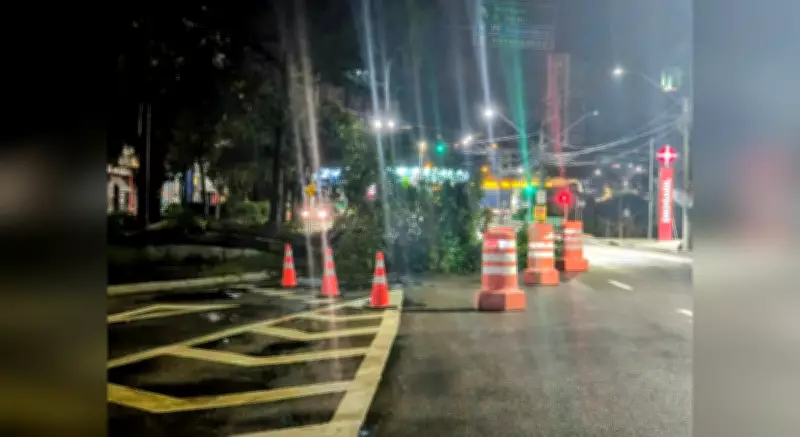 Chuva intensa em Jundiaí derruba árvore e causa alagamentos, Apae interrompe atividades