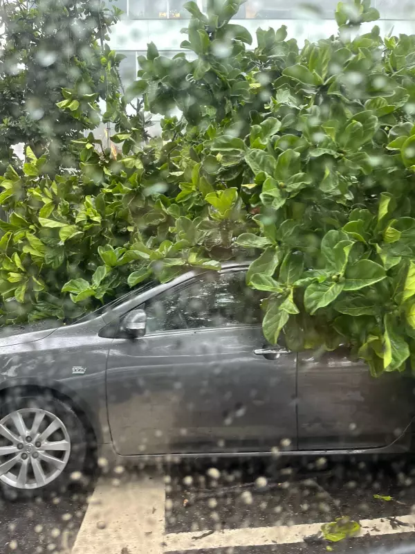 Chuvas intensas derrubam árvores em Botafogo e Catete, no Rio, causando lentidão no trânsito