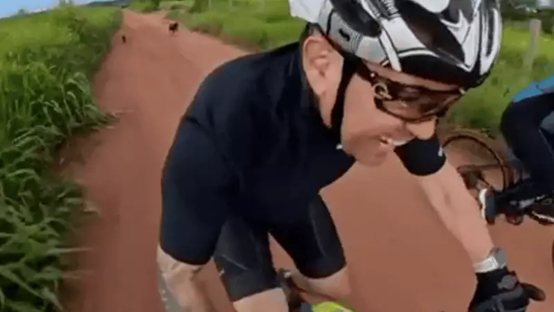 Ciclistas de MT enfrentam perseguição de cães durante pedal rural; grupo relata susto e queda