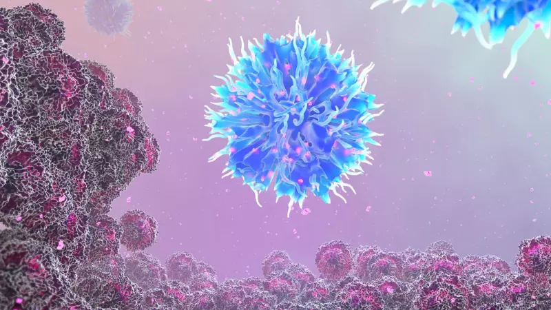 Células de câncer escapam do sistema imunológico usando movimento, revela estudo