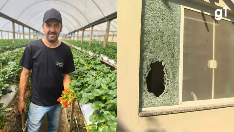 Câmeras captam ação policial com 18 tiros que matou agricultor em Pelotas