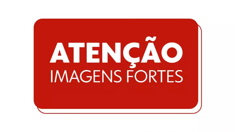 Cão é esfaqueado 37 vezes em condomínio de Juiz de Fora; polícia investiga