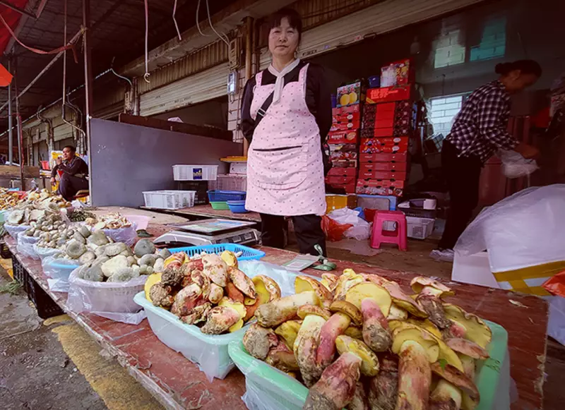 Cogumelo chinês provoca alucinações idênticas de humanoides minúsculos em 96% dos casos