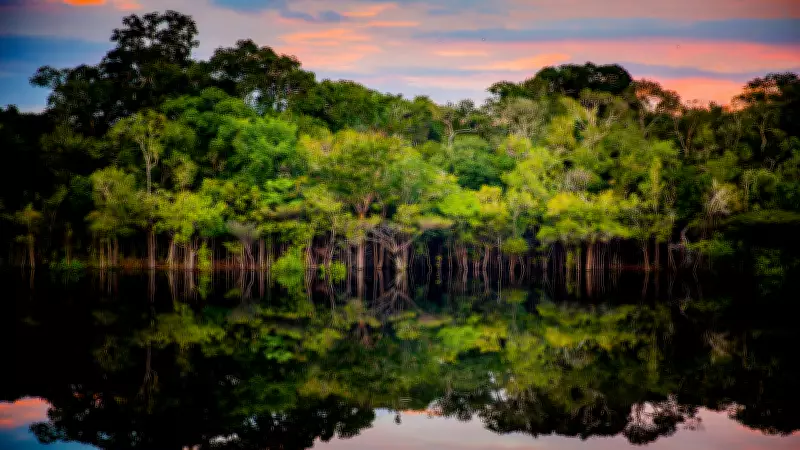 Como a governança de dados da FAS, com apoio da SAP, transforma a sustentabilidade na Amazônia